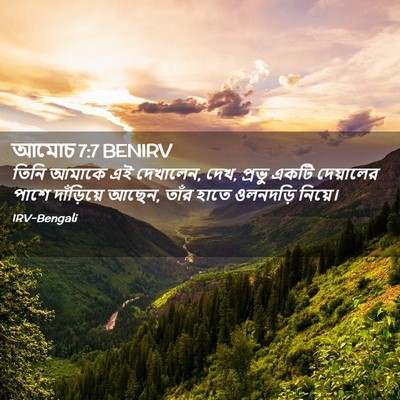Picture 02 - আমোচ 7:7 BENIRV - তিনি আমাকে এই - Bible Verse Picture
