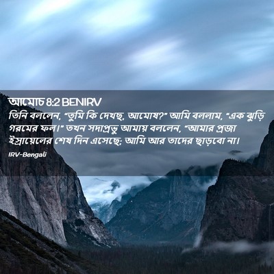Picture 02 - আমোচ 8:2 BENIRV - তিনি বললেন, “তুমি - Bible Verse Picture