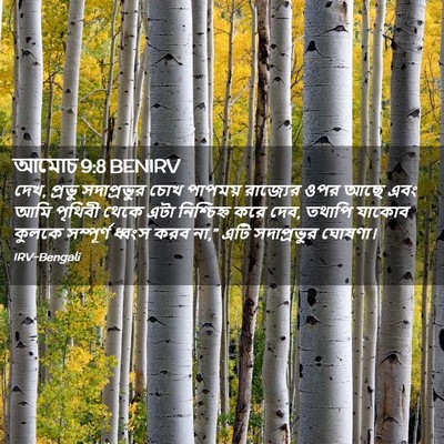 Picture 02 - আমোচ 9:8 BENIRV - দেখ, প্রভু - Bible Verse Picture