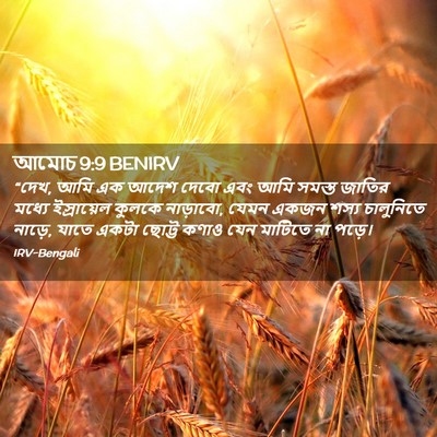 Picture 02 - আমোচ 9:9 BENIRV - “দেখ, আমি এক আদেশ - Bible Verse Picture