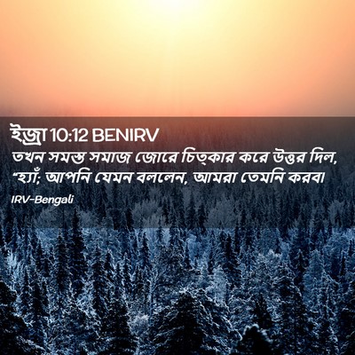 Picture 02 - ইজ্ৰা 10:12 BENIRV - তখন সমস্ত সমাজ - Bible Verse Picture