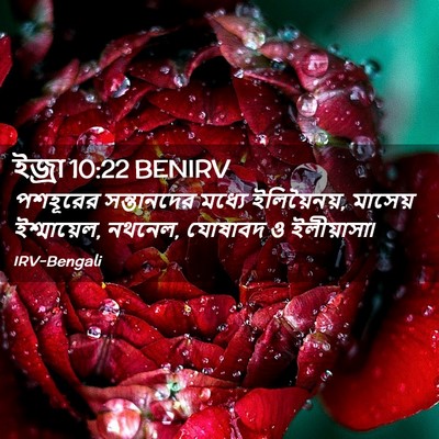 Picture 02 - ইজ্ৰা 10:22 BENIRV - পশহূরের সন্তানদের - Bible Verse Picture