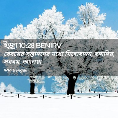 Picture 02 - ইজ্ৰা 10:28 BENIRV - বেবয়ের সন্তানদের - Bible Verse Picture