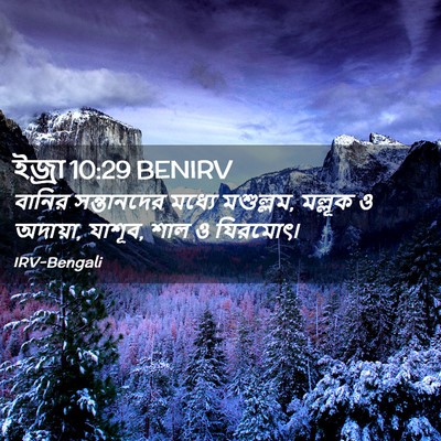 Picture 02 - ইজ্ৰা 10:29 BENIRV - বানির সন্তানদের - Bible Verse Picture