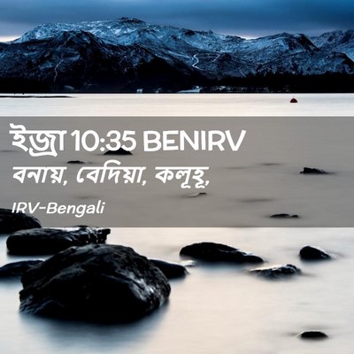 Picture 02 - ইজ্ৰা 10:35 BENIRV - বনায়, বেদিয়া, - Bible Verse Picture