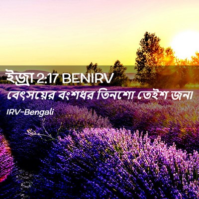 Picture 02 - ইজ্ৰা 2:17 BENIRV - বেৎসয়ের বংশধর - Bible Verse Picture