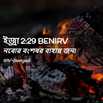 Picture 02 - ইজ্ৰা 2:29 BENIRV - নবোর বংশধর - Bible Verse Picture
