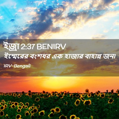 Picture 02 - ইজ্ৰা 2:37 BENIRV - ইম্মেরের বংশধর এক - Bible Verse Picture