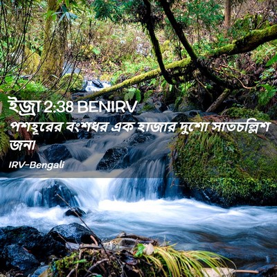 Picture 02 - ইজ্ৰা 2:38 BENIRV - পশহূরের বংশধর এক - Bible Verse Picture