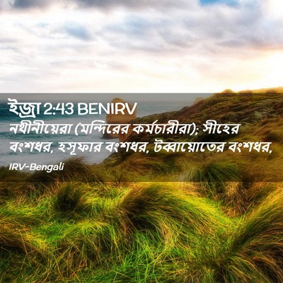 Picture 02 - ইজ্ৰা 2:43 BENIRV - নথীনীয়েরা - Bible Verse Picture