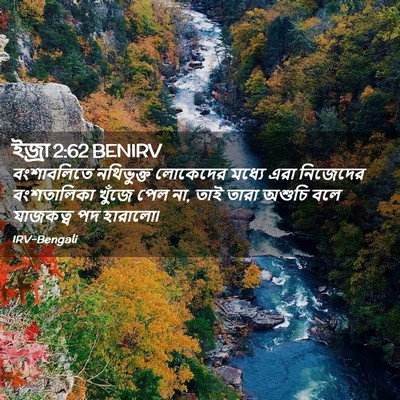 Picture 02 - ইজ্ৰা 2:62 BENIRV - বংশাবলিতে - Bible Verse Picture
