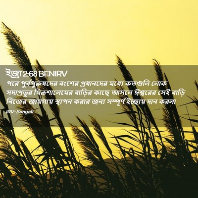 Picture 02 - ইজ্ৰা 2:68 BENIRV - পরে পুর্বপুরুষদের - Bible Verse Picture