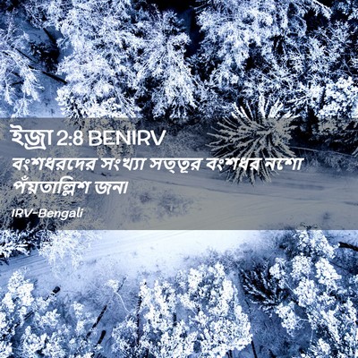 Picture 02 - ইজ্ৰা 2:8 BENIRV - বংশধরদের সংখ্যা - Bible Verse Picture
