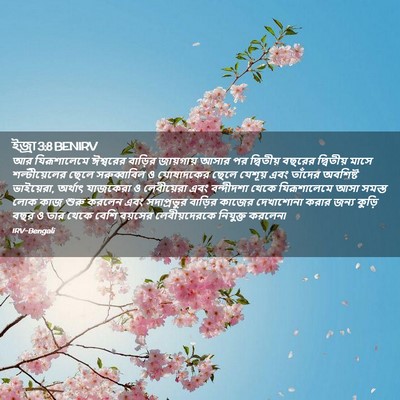 Picture 02 - ইজ্ৰা 3:8 BENIRV - আর যিরূশালেমে - Bible Verse Picture