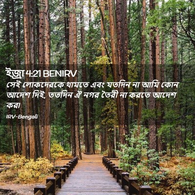 Picture 02 - ইজ্ৰা 4:21 BENIRV - সেই লোকদেরকে - Bible Verse Picture
