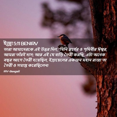 Picture 02 - ইজ্ৰা 5:11 BENIRV - তারা আমাদেরকে এই - Bible Verse Picture