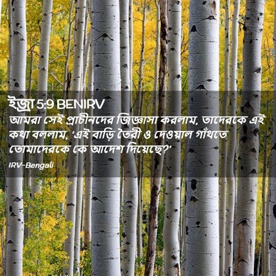 Picture 02 - ইজ্ৰা 5:9 BENIRV - আমরা সেই - Bible Verse Picture