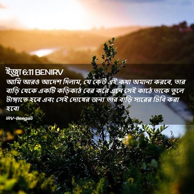 Picture 02 - ইজ্ৰা 6:11 BENIRV - আমি আরও আদেশ দিলাম, - Bible Verse Picture