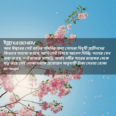 Picture 02 - ইজ্ৰা 6:8 BENIRV - আর ঈশ্বরের সেই - Bible Verse Picture