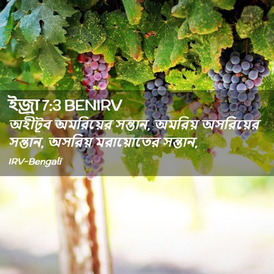 Picture 02 - ইজ্ৰা 7:3 BENIRV - অহীটূব অমরিয়ের - Bible Verse Picture