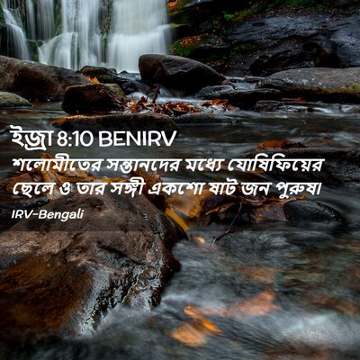 Picture 02 - ইজ্ৰা 8:10 BENIRV - শলোমীতের - Bible Verse Picture