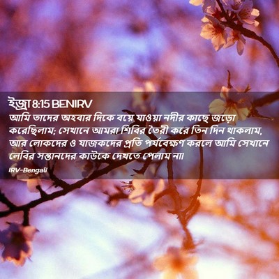 Picture 02 - ইজ্ৰা 8:15 BENIRV - আমি তাদের অহবার - Bible Verse Picture