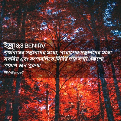 Picture 02 - ইজ্ৰা 8:3 BENIRV - শখনিয়ের - Bible Verse Picture