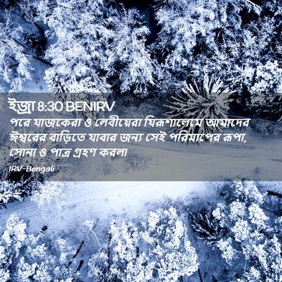 Picture 02 - ইজ্ৰা 8:30 BENIRV - পরে যাজকেরা ও - Bible Verse Picture