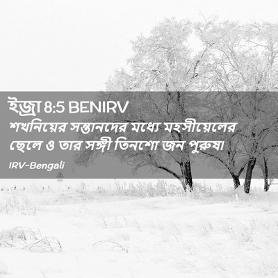 Picture 02 - ইজ্ৰা 8:5 BENIRV - শখনিয়ের - Bible Verse Picture