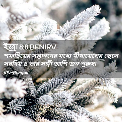 Picture 02 - ইজ্ৰা 8:8 BENIRV - শফটিয়ের - Bible Verse Picture