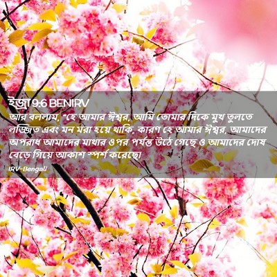Picture 02 - ইজ্ৰা 9:6 BENIRV - আর বললাম, “হে আমার - Bible Verse Picture