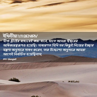 Picture 02 - ইফিচীয়া 1:11 BENIRV - যীশু খ্রীষ্টের - Bible Verse Picture