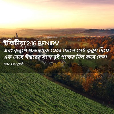 Picture 02 - ইফিচীয়া 2:16 BENIRV - এবং ক্রুশে - Bible Verse Picture
