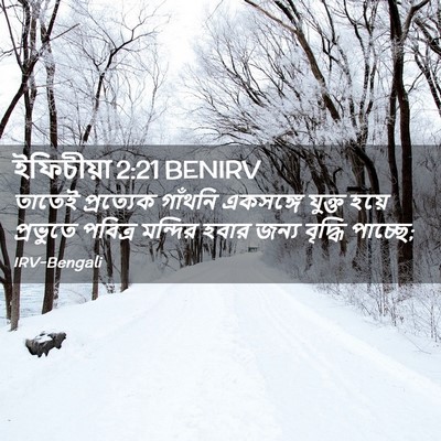Picture 02 - ইফিচীয়া 2:21 BENIRV - তাতেই প্রত্যেক - Bible Verse Picture