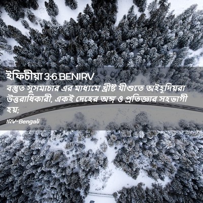 Picture 02 - ইফিচীয়া 3:6 BENIRV - বস্তুত সুসমাচার - Bible Verse Picture