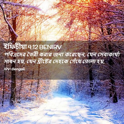 Picture 02 - ইফিচীয়া 4:12 BENIRV - পবিত্রদের তৈরী - Bible Verse Picture