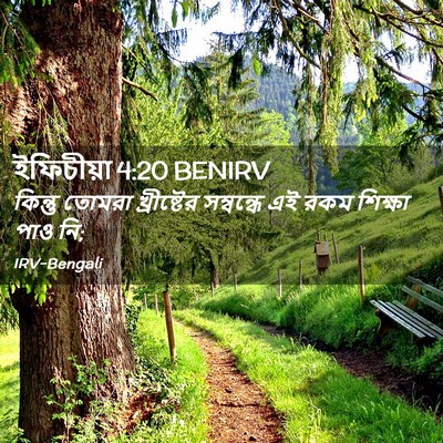 Picture 02 - ইফিচীয়া 4:20 BENIRV - কিন্তু তোমরা - Bible Verse Picture