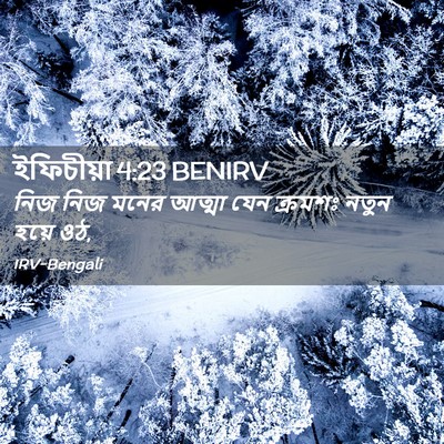 Picture 02 - ইফিচীয়া 4:23 BENIRV - নিজ নিজ মনের আত্মা - Bible Verse Picture