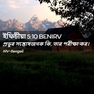 Picture 02 - ইফিচীয়া 5:10 BENIRV - প্রভুর সন্তোষজনক - Bible Verse Picture