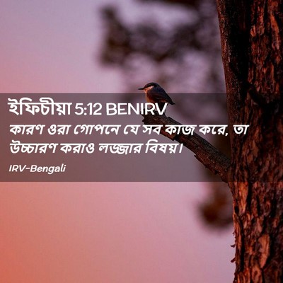Picture 02 - ইফিচীয়া 5:12 BENIRV - কারণ ওরা গোপনে যে - Bible Verse Picture