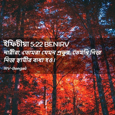 Picture 02 - ইফিচীয়া 5:22 BENIRV - নারীরা, তোমরা যেমন - Bible Verse Picture