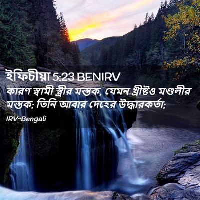 Picture 02 - ইফিচীয়া 5:23 BENIRV - কারণ স্বামী - Bible Verse Picture