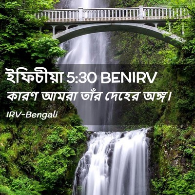 Picture 02 - ইফিচীয়া 5:30 BENIRV - কারণ আমরা তাঁর - Bible Verse Picture