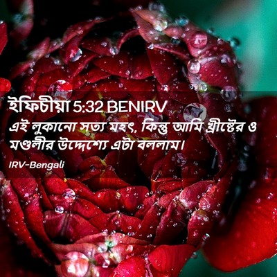 Picture 02 - ইফিচীয়া 5:32 BENIRV - এই লুকানো সত্য মহৎ, - Bible Verse Picture