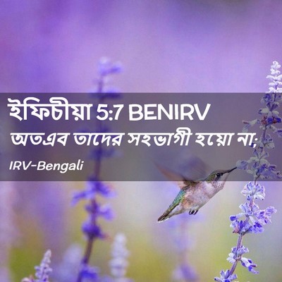 Picture 02 - ইফিচীয়া 5:7 BENIRV - অতএব তাদের সহভাগী - Bible Verse Picture