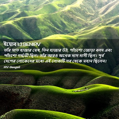 Picture 02 - ইয়োব 1:3 BENIRV - তাঁর সাত হাজার মেষ, - Bible Verse Picture