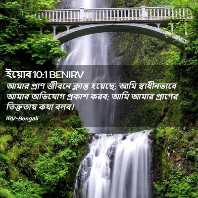 Picture 02 - ইয়োব 10:1 BENIRV - আমার প্রাণ জীবনে - Bible Verse Picture