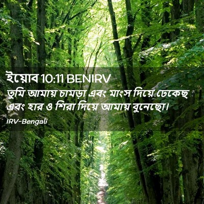 Picture 02 - ইয়োব 10:11 BENIRV - তুমি আমায় চামড়া - Bible Verse Picture