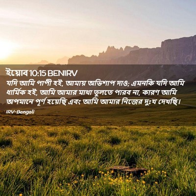 Picture 02 - ইয়োব 10:15 BENIRV - যদি আমি পাপী হই, - Bible Verse Picture