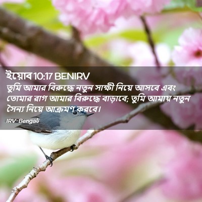 Picture 02 - ইয়োব 10:17 BENIRV - তুমি আমার - Bible Verse Picture
